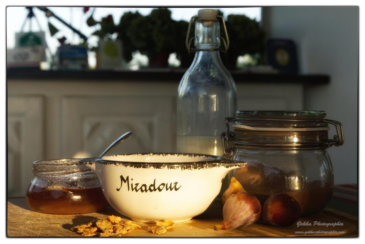 Maison D'Hotes Miradour タルノス エクステリア 写真